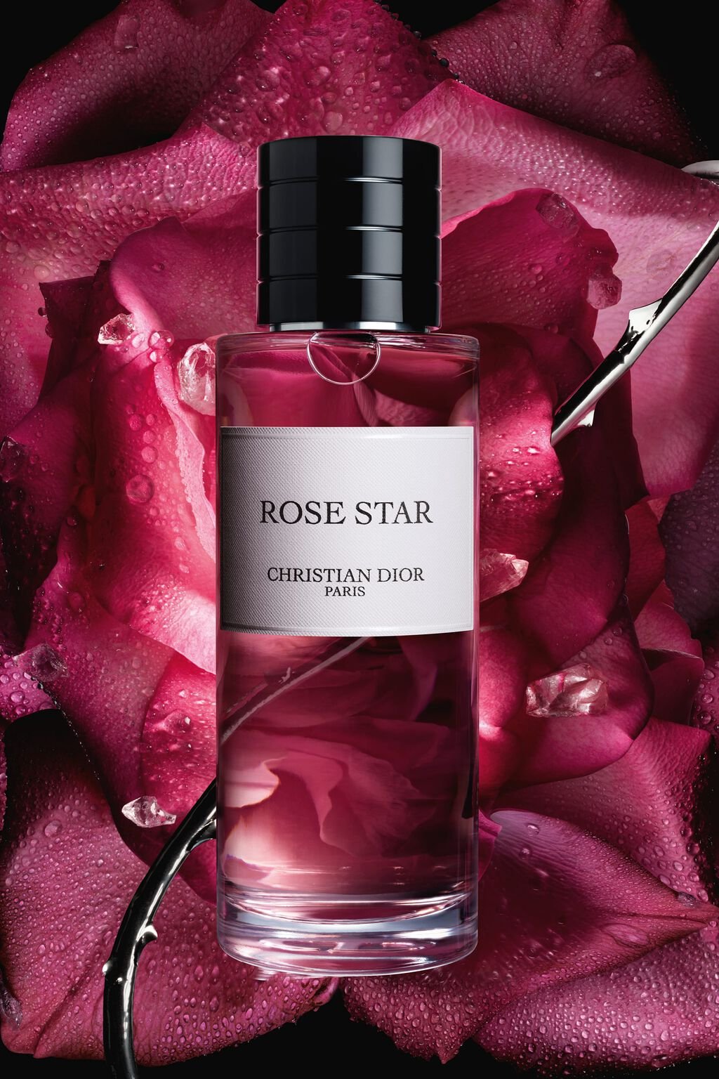 Rose Star - Image 2